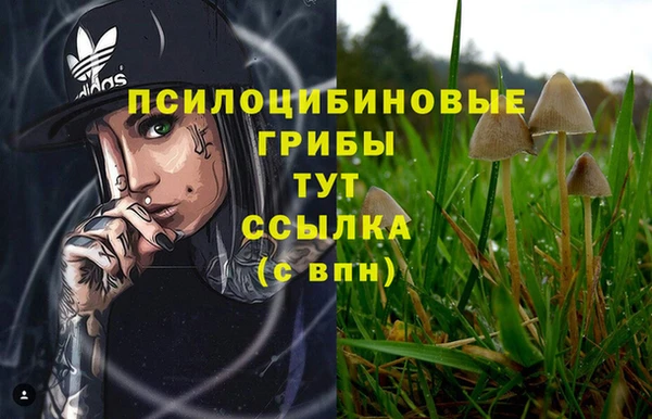 экстази Ессентукская