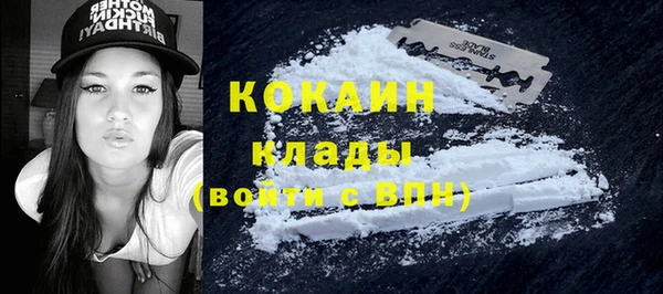 ешки Новодвинск