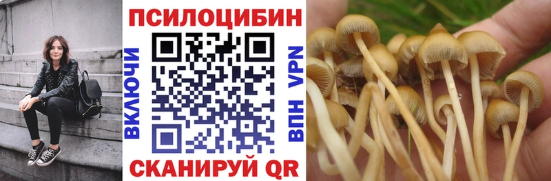 Галлюциногенные грибы MAGIC MUSHROOMS Олонец