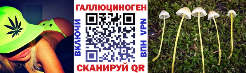 Галлюциногенные грибы прущие грибы  продажа наркотиков  Олонец 