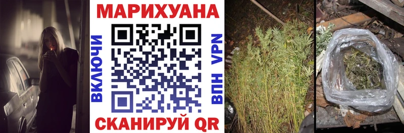Шишки марихуана конопля  Олонец 